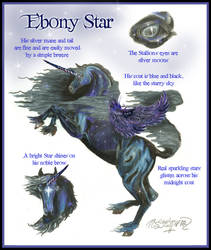 Ebony Star Arabo-Friesian Winged Unicorn Pegasus by StephanieSmall
