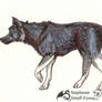 Grey Wolf Canine Hound Dog Black White Wolves Pups