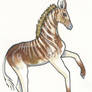 Quagga Foal Adoptable