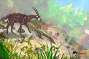 Neysadia the Rare Saola Female Breedable