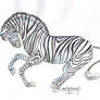 Ekene Zebra Stallion