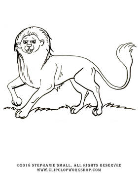 Lion Big Large Cat Wild Animal King Beast