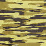 -C.A.M.O-Desert vivid colors