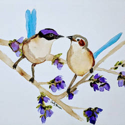 Fairy Wren Couple