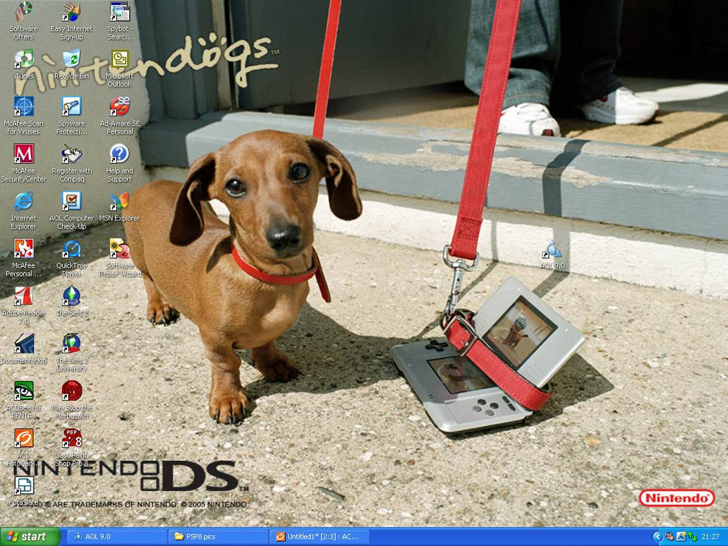 Nintendogs Loading Screen Nintendogs Background by Simple-guy on DeviantArt