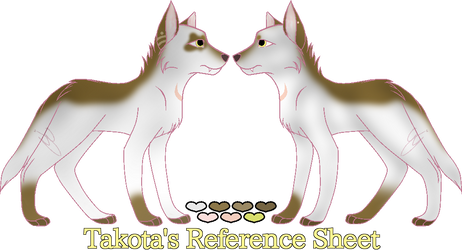 Takota Ref Sheet.