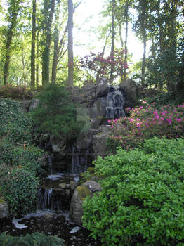 Keukenhof 2007 XVIII