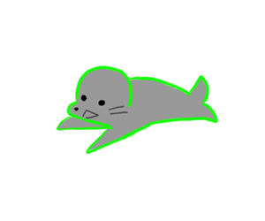 little seal