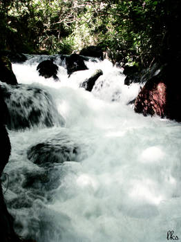the banias waterfall