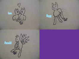 Pony Bases