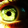 Eye like the nature
