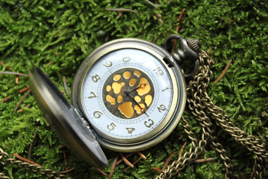 Pocketwatch