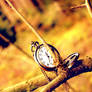 Herbstliche Uhr