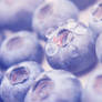 Blueberrylicious