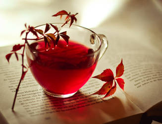 Red Tea by LindasAdventure