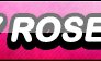 Amy Rose Fan Button