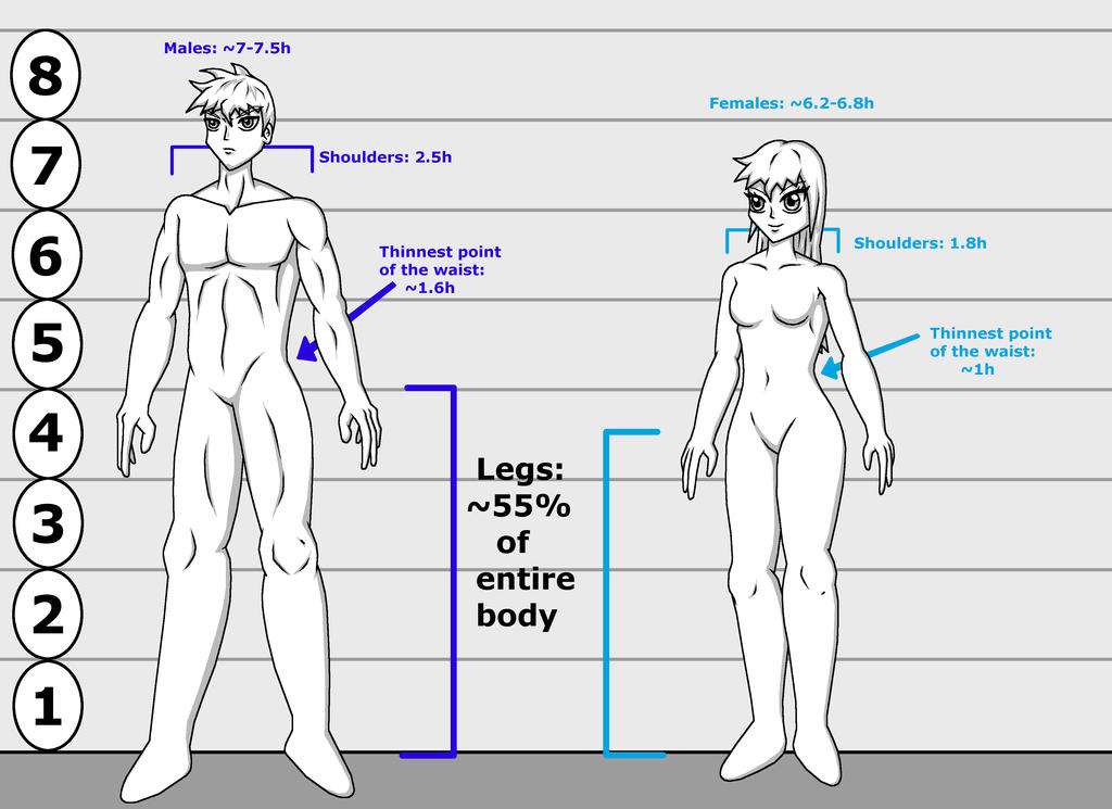 so apparently anime body proportions are not as exaggerated as I thought  : r/MxRMods