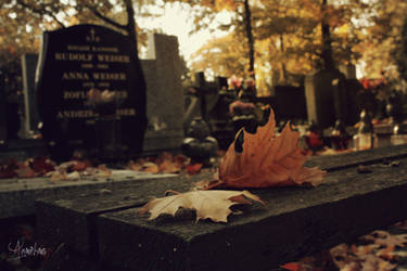 cemetery