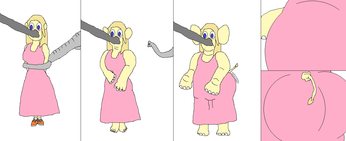 Tish the Elephant 1