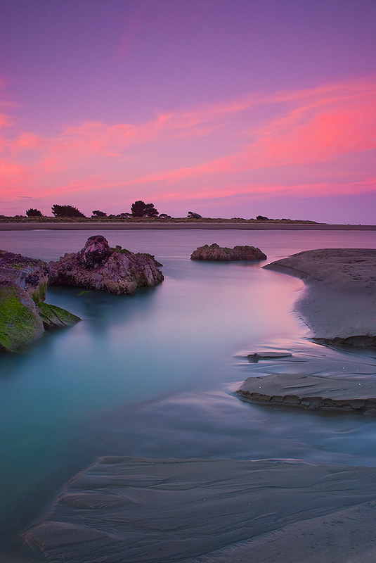 Pink Pool