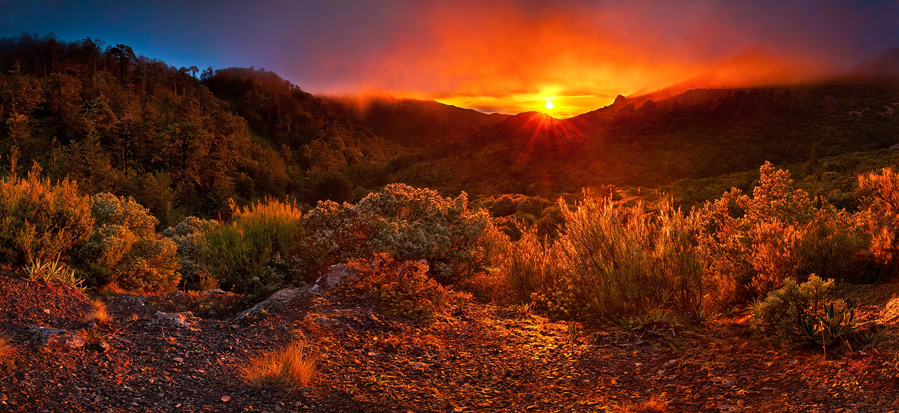 Pinnacles Hut Sunrise