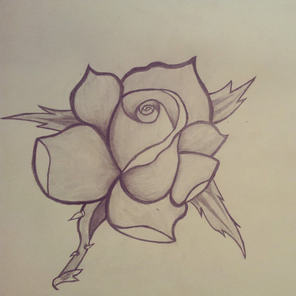 Rose (Practice)