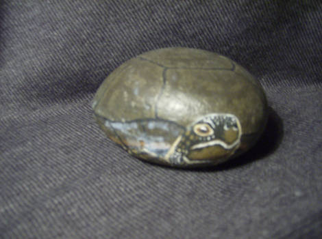 Turtle rock