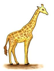 Giraffe Airbrush