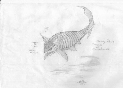 Oceanic Armadillo