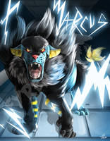 CM: Luxray