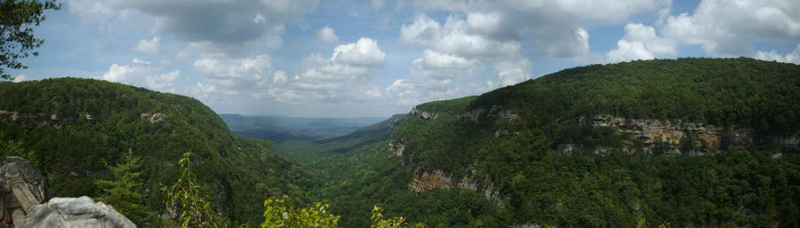 Cloudland Canyon