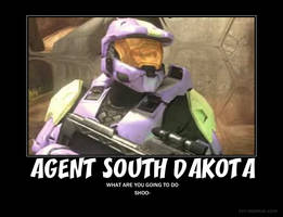 Agent south