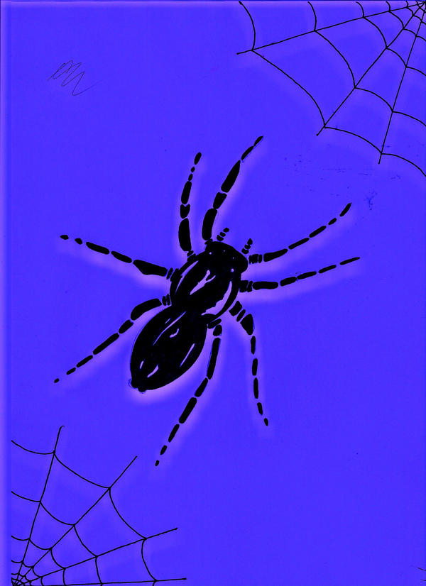 Spider Insect Deviantart spider by electricblackout on DeviantArt