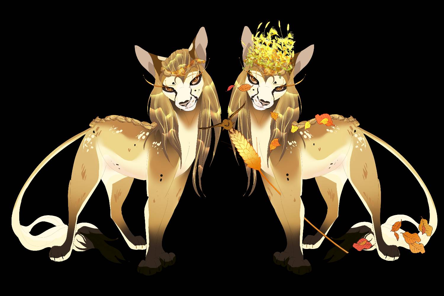 Closed Queen Adopt