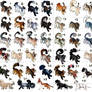 Cheap Adopt Sale Open