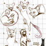 Pose YCHs Open