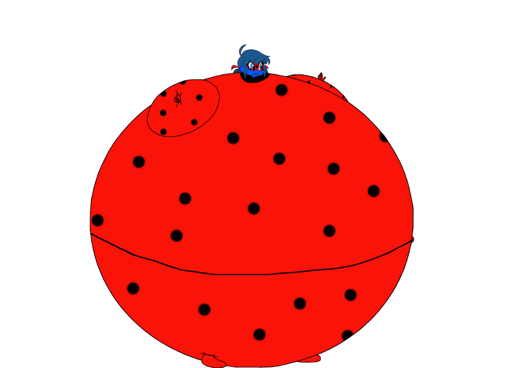 Blueberry Ladybug by Gon513 on DeviantArt