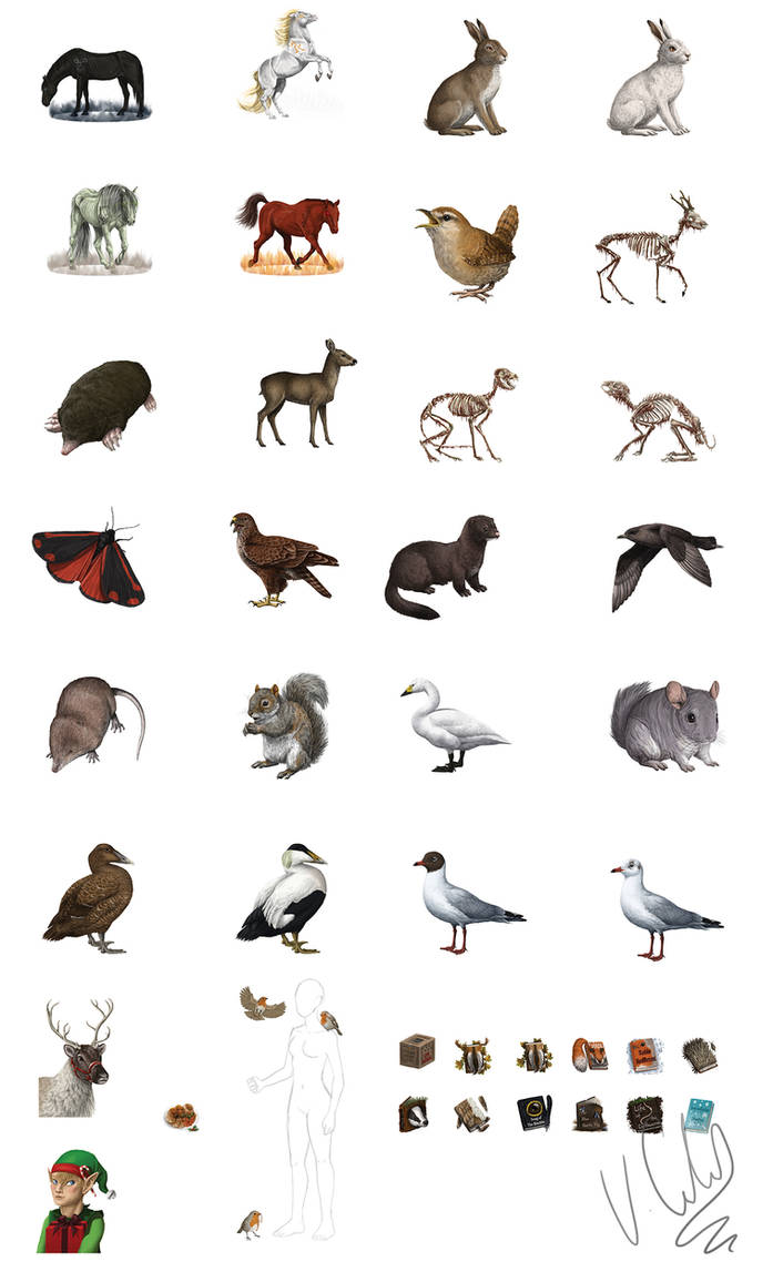 Assorted animals for website by VictoriaGillard on DeviantArt