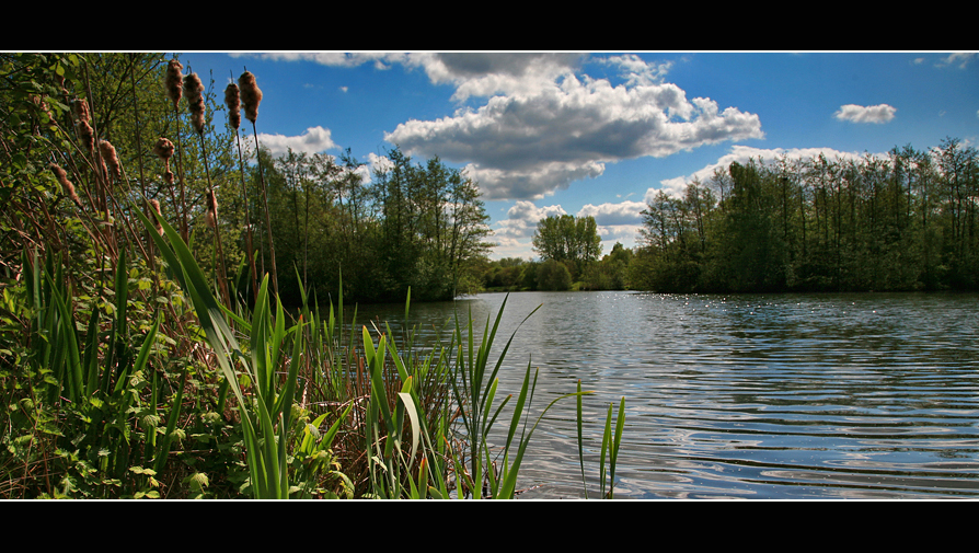 Kingsbury Water Park