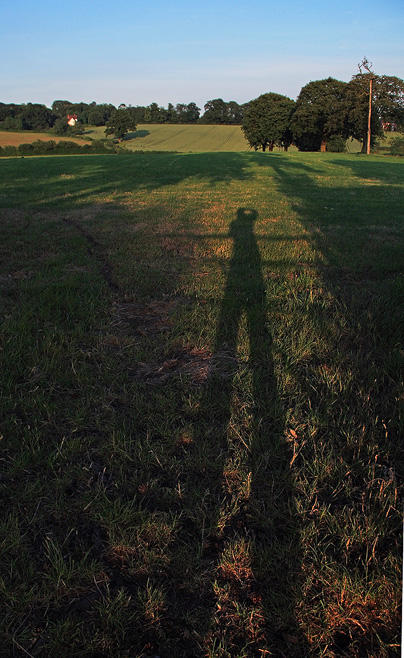 Shadow ID by danUK86 on DeviantArt