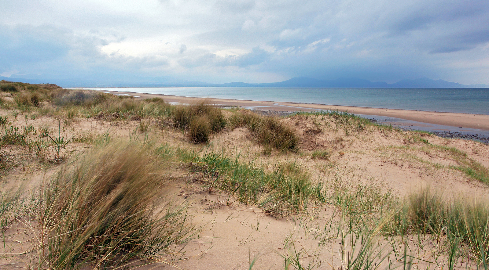 Dune View