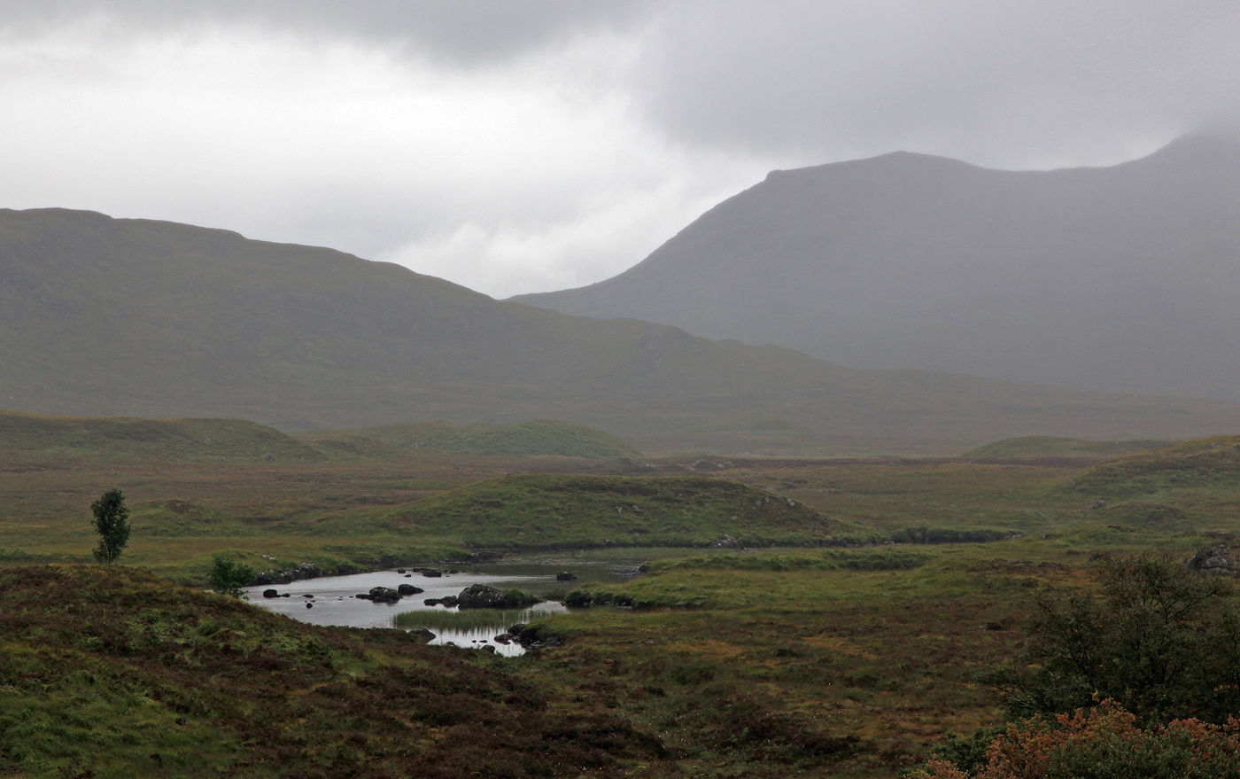 Wild Scotland