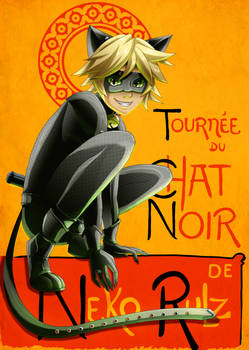 Miraculous Chat Noir