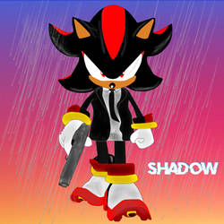 Shadow The Hedgehog as John Wick