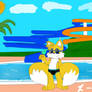 Tails goes to Water Park!