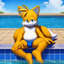 Tails seducting you on a swimming pool