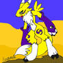 Renamon- digimon