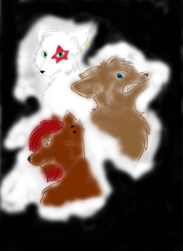 los tres lobos2  XD