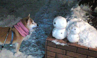 Shiba Inu and Snowman