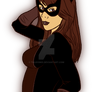 DSC Catwoman